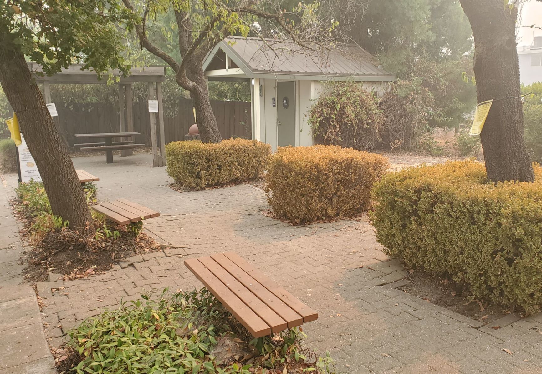 Lewis Station Park